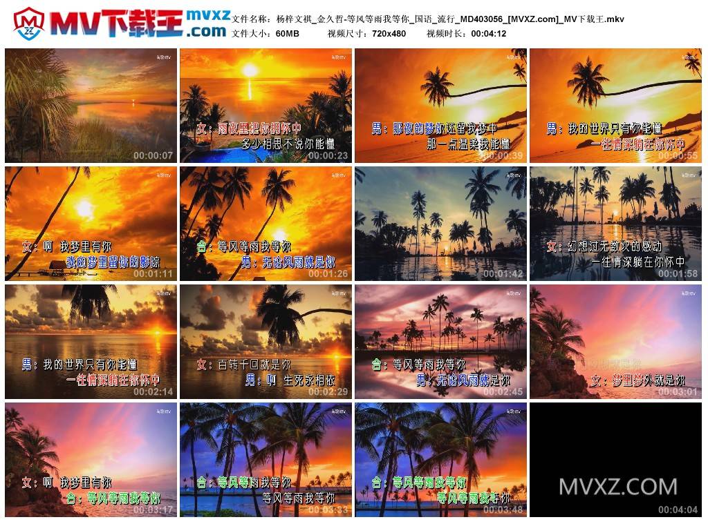 杨梓文祺_金久哲-等风等雨我等你_国语_流行_MD403056